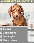 Soapy curly coated dog in a bathtub next to the shampoo bottle. Text highlights four benefits clean condition detangle and moisturize.