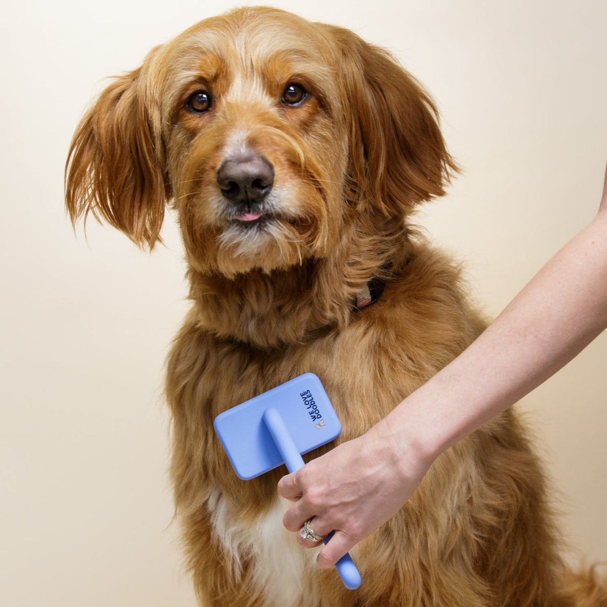 best brush for mini goldendoodle