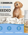 Dog Shampoo - Waterless Dog Shampoo (Mango)