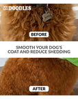 Split image shows a curly brown dog labeled before with frizz and an after photo with a smoother coat. Text reads Smooth your dog's coat and reduce shedding.