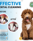 Split graphic shows two circular close ups labeled before and after with brown buildup versus clean white teeth. A fluffy doodle dog sits on the right and a jar appears at the bottom left.