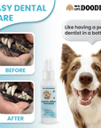 Easy Dental Care graphic shows closeups labeled before with heavy tartar and after with cleaner teeth. A happy dog and the We Love Doodles Dental Spray bottle are on the right.