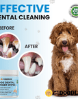 Graphic shows closeups of dog teeth before with brown buildup and after looking cleaner. A doodle sits at right and the Dog Dental Finger Wipes jar appears at bottom left.