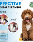 Two circular closeups show teeth before with heavy buildup and after with cleaner surfaces. A fluffy doodle dog sits on the right and a small product jar appears at the bottom on a paw print background.