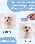 Graphic shows a white dog before grooming and a second frame after grooming with a hand holding a blue comb between the frames. Captions read Before and After.