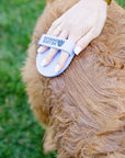 A hand uses a blue strap bath brush to groom a dog's wavy tan coat on grass. The brush moves along the fur for outdoor cleanup.