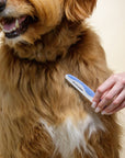 Close view of a hand using a blue and white We Love Doodles comb with long stainless steel pins on a fluffy brown dog’s chest.