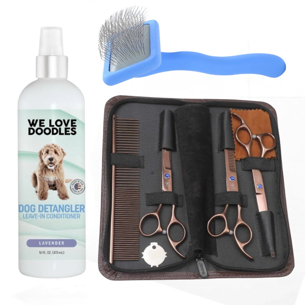 Dog_Grooming_At_Home_Grooming_
