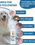Infographic lists hot spots itchy allergies insect bites dermatitis and other skin issues beside a seated dog and the shampoo bottle.