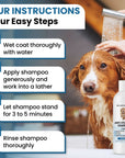 A shower sprayer wets a brown and white dog. Overlay text shows steps wet coat apply and lather let stand 3 to 5 minutes and rinse thoroughly with the bottle shown.
