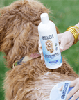 A person holds the We Love Doodles Ocean Breeze shampoo beside a curly coated dog on grass with a brush visible.