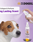 A hand sprays the We Love Doodles bottle toward a brown and white dog on a purple backdrop with paw prints and text showing long lasting scent.