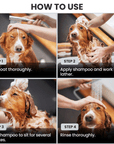 Four photo panels show the bath steps. Wet the coat, apply shampoo and lather, let it sit for several minutes, then rinse thoroughly. Hands are visible washing and rinsing the dog.
