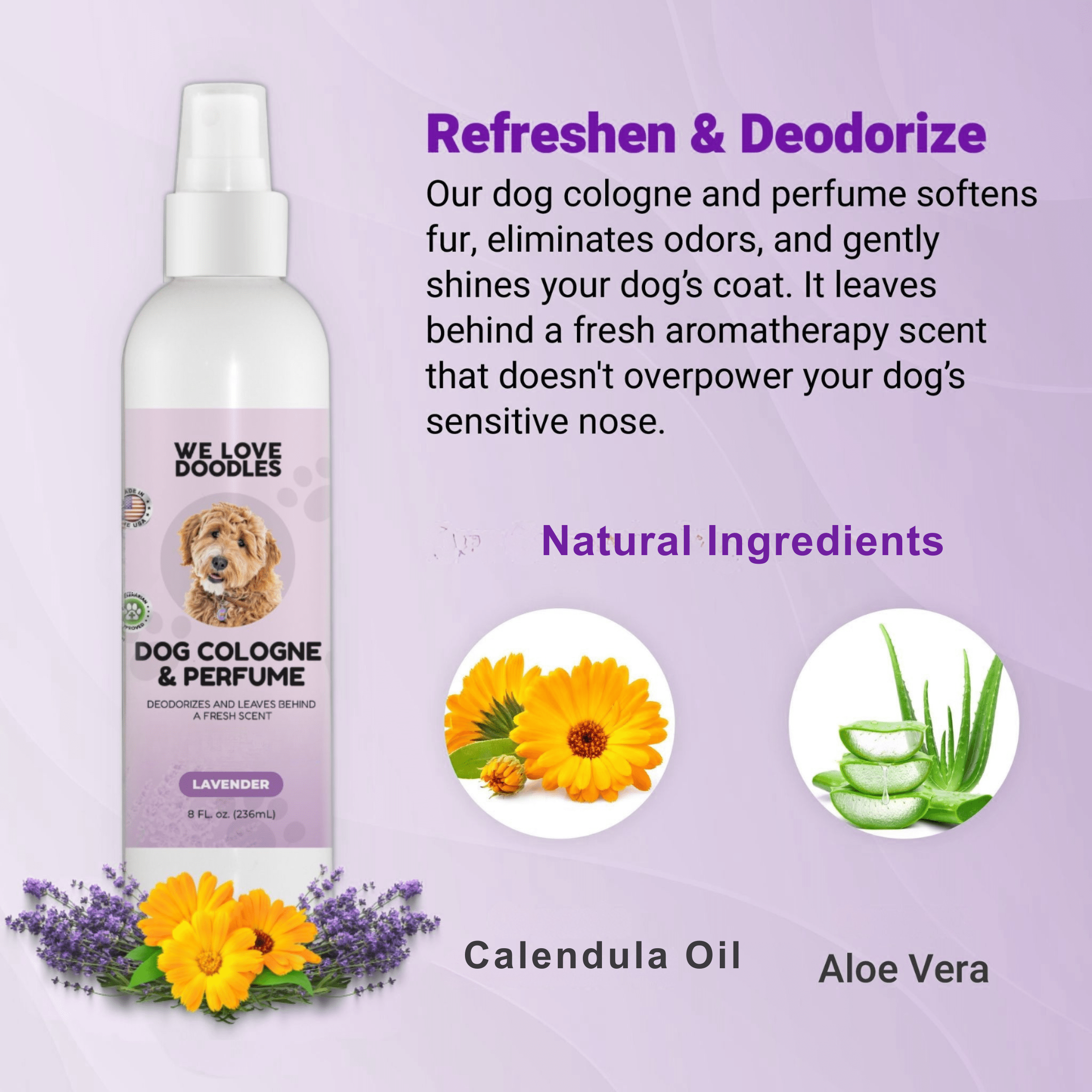 Dog Deodorizer Spray | Calming Lavender Eliminates Odors Fast – We