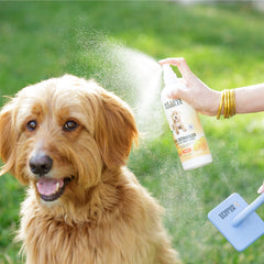 we love doodles product