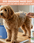 Home Dog No-Tangles Care + Organizer Pack - Organized, Knot-Free Grooming at Home