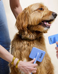 Large & Small Slicker Brush - We Love Doodles