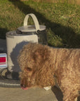 Dog Grooming Vacuum Kit (Upgraded Version)
