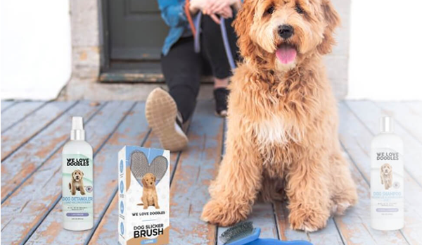 we love doodles products