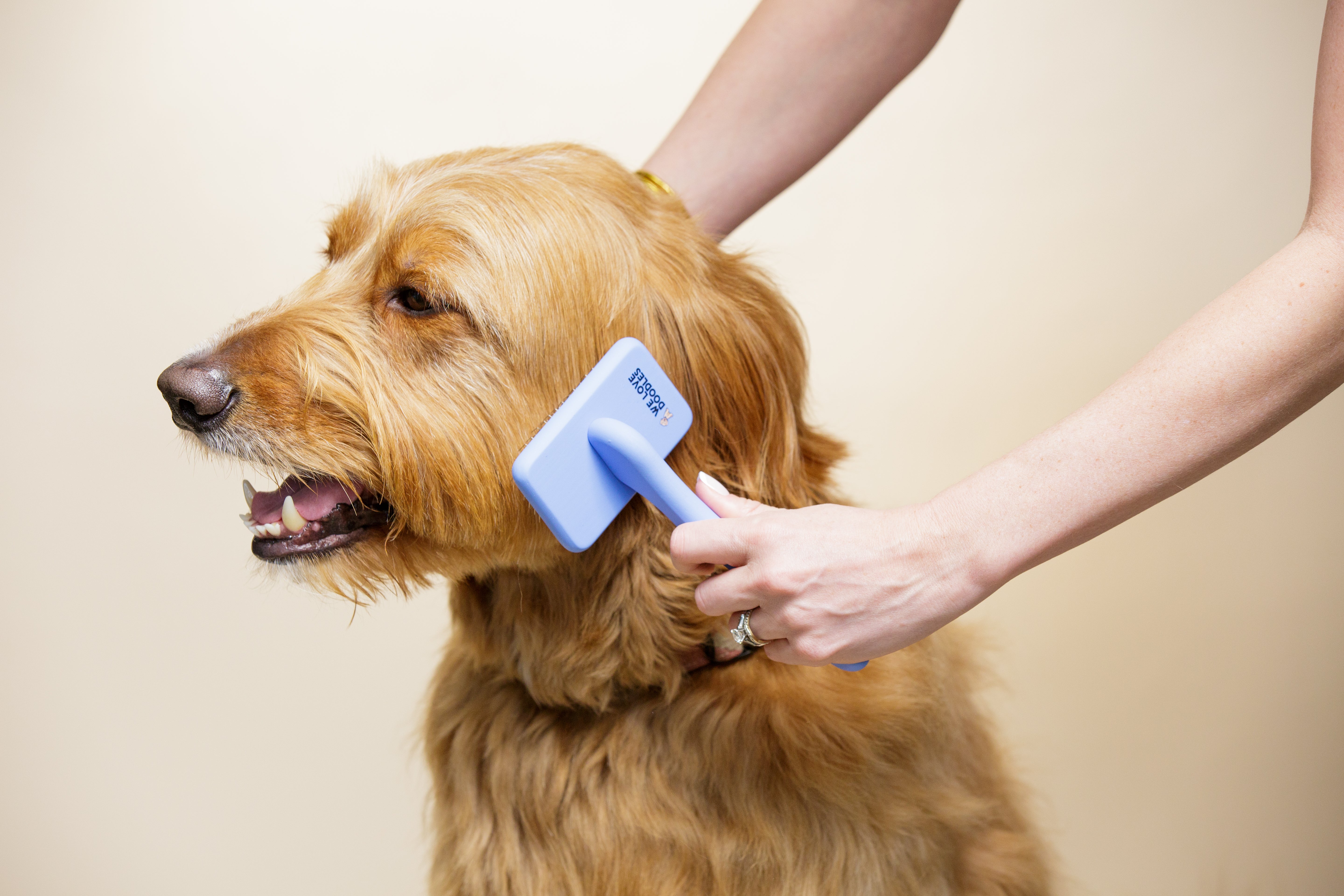 10 Best Slicker Brushes for Dogs in 2025 | We Love Doodles