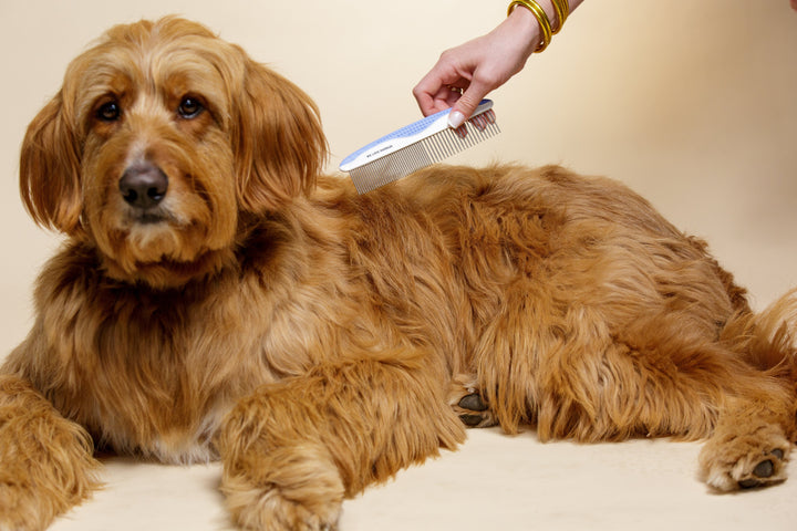 The Best Dog Grooming Kits for Heavy Shedders (Reviewed by Pet Owners)