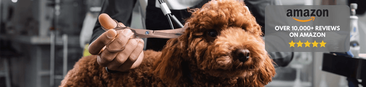 Dog Grooming - We Love Doodles