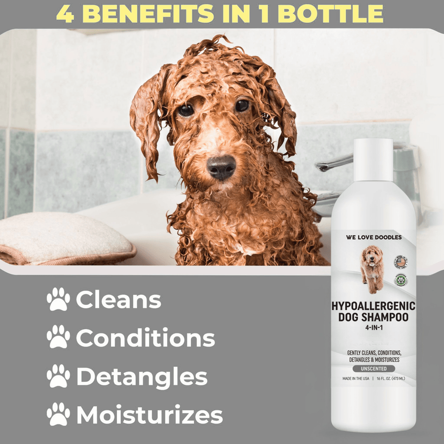 Soapy curly coated dog in a bathtub next to the shampoo bottle. Text highlights four benefits clean condition detangle and moisturize.