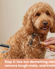 Home Dog Complete Coat Care Pack