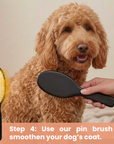 Home Dog Complete Gentle Coat Care Pack