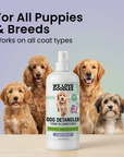 Dog Detangler Spray (Lavender)