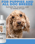 Dog Shampoo (Unscented)