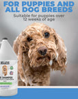 Dog Shampoo Half-Gallon