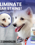 Blueberry Facial Dog Shampoo