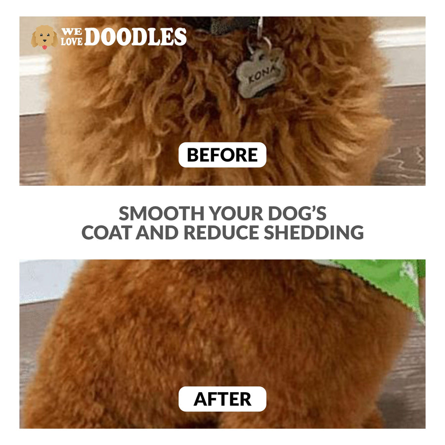 Split image shows a curly brown dog labeled before with frizz and an after photo with a smoother coat. Text reads Smooth your dog's coat and reduce shedding.