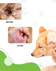 Photo shows a person gently swabbing a dogs outer ear. Inset images label a dirty ear before and a cleaner ear after to show visible improvement.