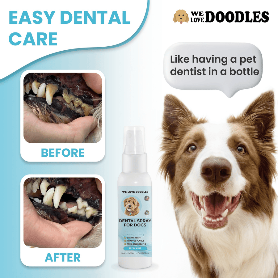 Easy Dental Care graphic shows closeups labeled before with heavy tartar and after with cleaner teeth. A happy dog and the We Love Doodles Dental Spray bottle are on the right.