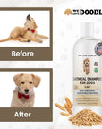 Side by side frames show a dog scratching in the before image and a clean dog with a red bow in the after image. The We Love Doodles logo and product bottle appear to the right.