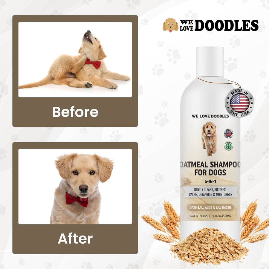 Side by side frames show a dog scratching in the before image and a clean dog with a red bow in the after image. The We Love Doodles logo and product bottle appear to the right.