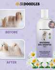 Two photos compare coat results. The top shows a long-haired light dog with dirty yellowed fur labeled Before. The bottom shows a bright clean coat labeled After. A product bottle with daisies stands on the right.