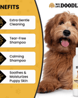 Doodle dog pictured with callouts for extra gentle cleaning tear free calming and soothes and moisturizes puppy skin. Shampoo bottle appears on the right side.
