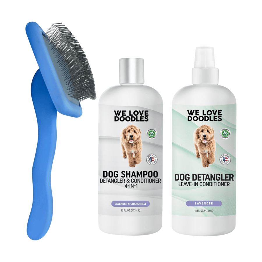 Set image with a blue slicker brush and two white bottles labeled Dog Shampoo and Dog Detangler from We Love Doodles on a clean background.