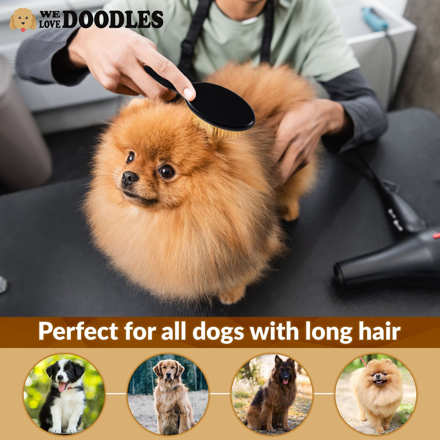 Person grooms a fluffy orange long haired dog on a table using a black pin brush. A hair dryer sits nearby and a banner says Perfect for all dogs with long hair.