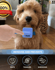 A hand brushes a small dog using a blue We Love Doodles slicker brush. Overlay text says removes and prevents mats tangles and shedding with a guarantee badge in the corner.