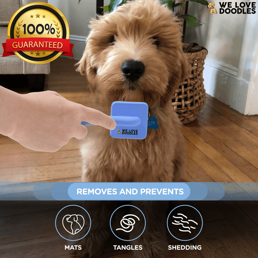 A hand brushes a small dog using a blue We Love Doodles slicker brush. Overlay text says removes and prevents mats tangles and shedding with a guarantee badge in the corner.