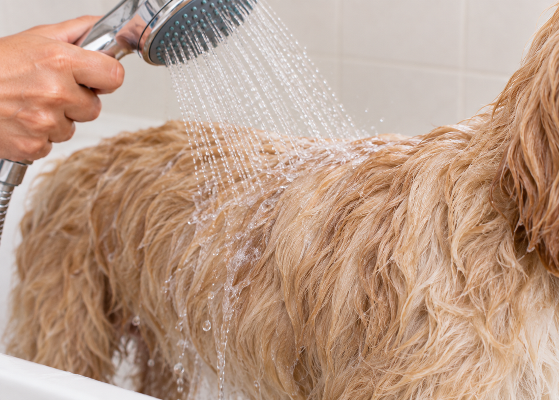 Rinse thoroughly