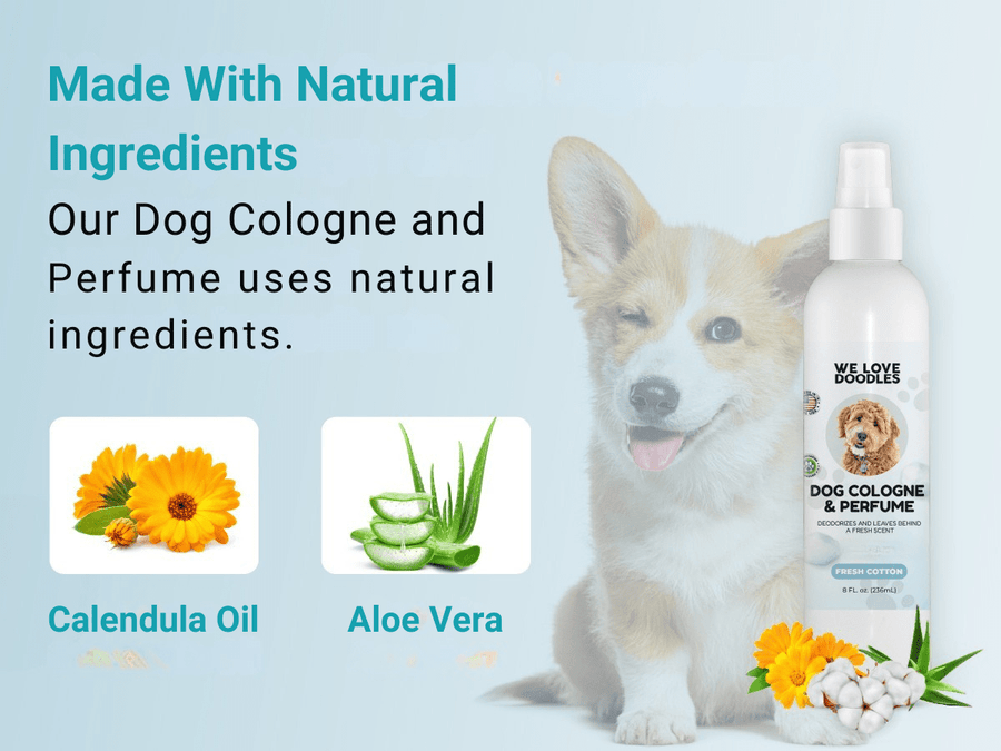 Blue layout shows a corgi next to the Fresh Cotton bottle. Panels highlight calendula oil and aloe vera with text stating made with natural ingredients.