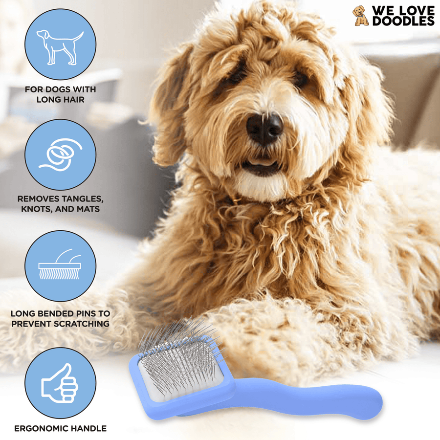 Curly long haired dog lies beside a blue slicker brush. Icons state for dogs with long hair removes tangles knots and mats long bended pins to help prevent scratching and ergonomic handle.