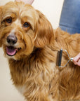 A hand grooms a tan long haired dog using a dematting rake tool with curved stainless blades and a smooth wood handle.
