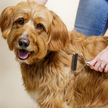 A hand grooms a tan long haired dog using a dematting rake tool with curved stainless blades and a smooth wood handle.
