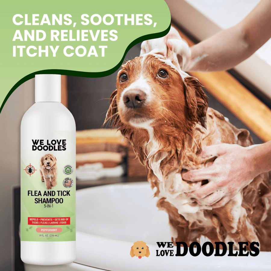 Brown and white dog in a bathtub covered in suds while a hand washes the coat. A Flea and Tick Shampoo bottle sits on the rim. Green text says cleans soothes and relieves itchy coat.